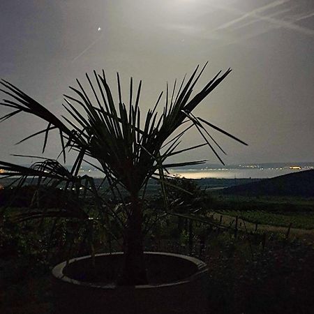 فيلا Panorama, Balaton Dörgicse المظهر الخارجي الصورة